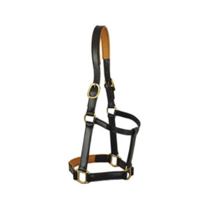 Halter