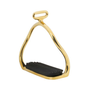 Safety Stirrup