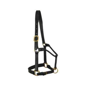 Halter