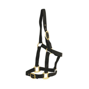 Halter