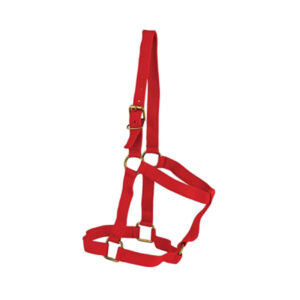 Halter