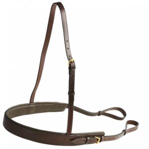 Breastplate