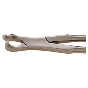 Equine Dental Forcep