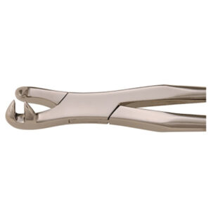 Equine Dental Forcep