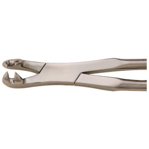 Equine Dental Forcep