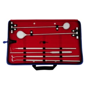 Equine Dental Pick