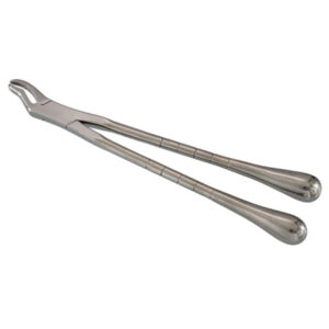 Equine Dental Forcep