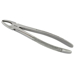 Equine Dental Forcep