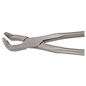 Equine Dental Forcep