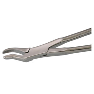 Equine Dental Forcep